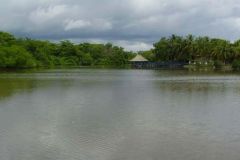 VENDO-FINCA-6