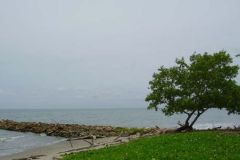 VENDO-FINCA-8